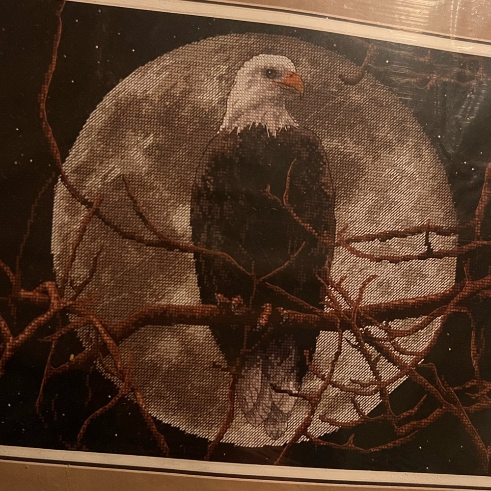 Vintage Sunset Eagle in Moonlight Counted Cross Stitch Kit